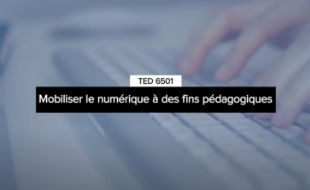 TED 6501